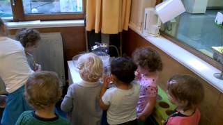 WP 20140808 003