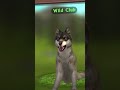 Wildcraft# edit# Wolf# For my bff Mia