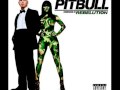 Pitbull - Shut It Down