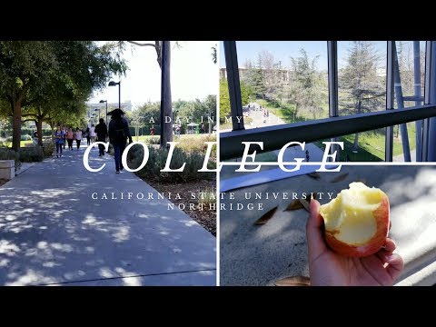 A Day in My Life: College Edition! | CSU Northridge