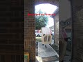 FedEx Delivery Driver Fails Miserably Deliverydrivers Fedex Viralvideo Shorts 