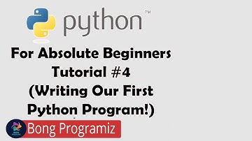 Writing Our First Python Program || Python
