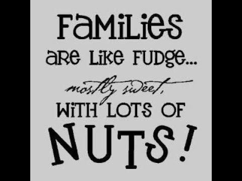 Lost Footage Found Come SEE! Enjoy Lovelies camera iphone 8 plus apk