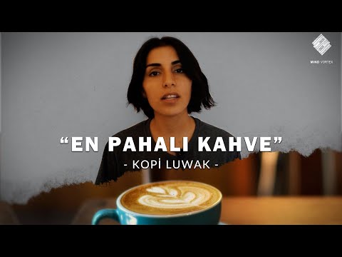 Dünyanın en pahalı kahvesi Kopi Luwak nasıl üretiliyor?