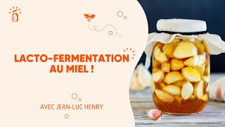 La Lacto-Fermentation Au Miel