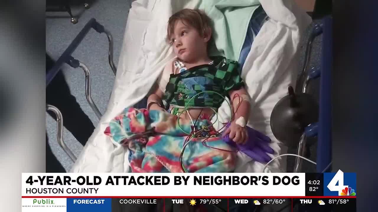 4-year-old attacked by neighbor's dog in Houston County - YouTube