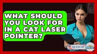 What Should You Look For In A Cat Laser Pointer? - Ask A Pet Vet