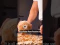 don't watch this