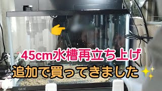 【追加購入】45cm水槽再立ち上げ part2