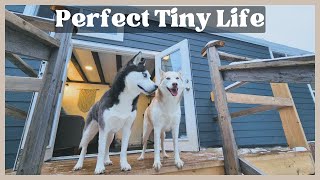 Living with Dogs in a Tiny House!