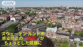 臭いで人を寄せ付けない・・・スウェーデンのコロナ対策(20/05/07)