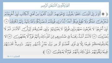 سورة الحشر ١١ - ١٤