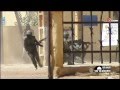 France 2 documentaire sur le mali faut il crier victoire 220413