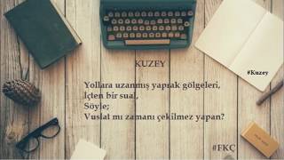 Kuzey Dilin Sancısı)