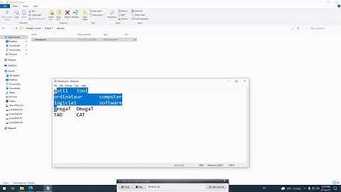 How to use a Text glossary in an OmegaT project
