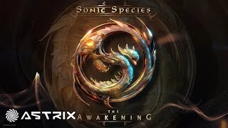Astrix & Ace Ventura - Valley Of Stevie (Sonic Species Remix)
