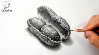 [소묘 그림그리기] 연필드로잉 기초정물 개체묘사 - 땅콩 How to draw Peanut (Drawing woo)