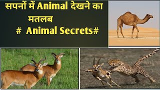 Dream interpretation with animal secret power Part 1 screenshot 3