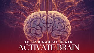 40 Hz Binaural Beats | Improve Memory, Focus & Concentration | Brain Activation Music