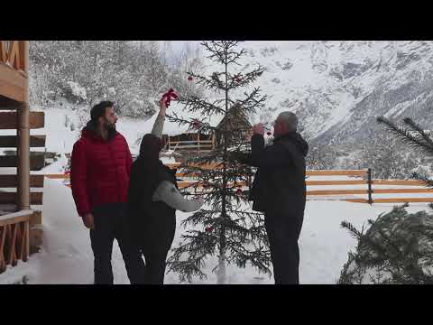 ცოცხალი ნაძვის ხის მორთვა ბეჩოში 💚🌲💚