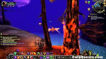 CataQuests.com - Tortolla Speaks