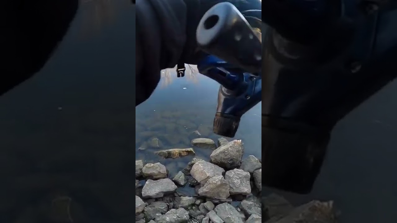 Do Bullsharks Live in Lake Michigan ? I’m Just Curious 