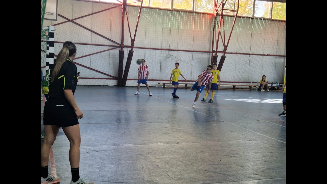 CSS 2 București - Stelele Aurii, Handbal Juniori IV