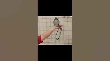 Дэлхийн хамгийн хачирхалтай шувуудын нэг 