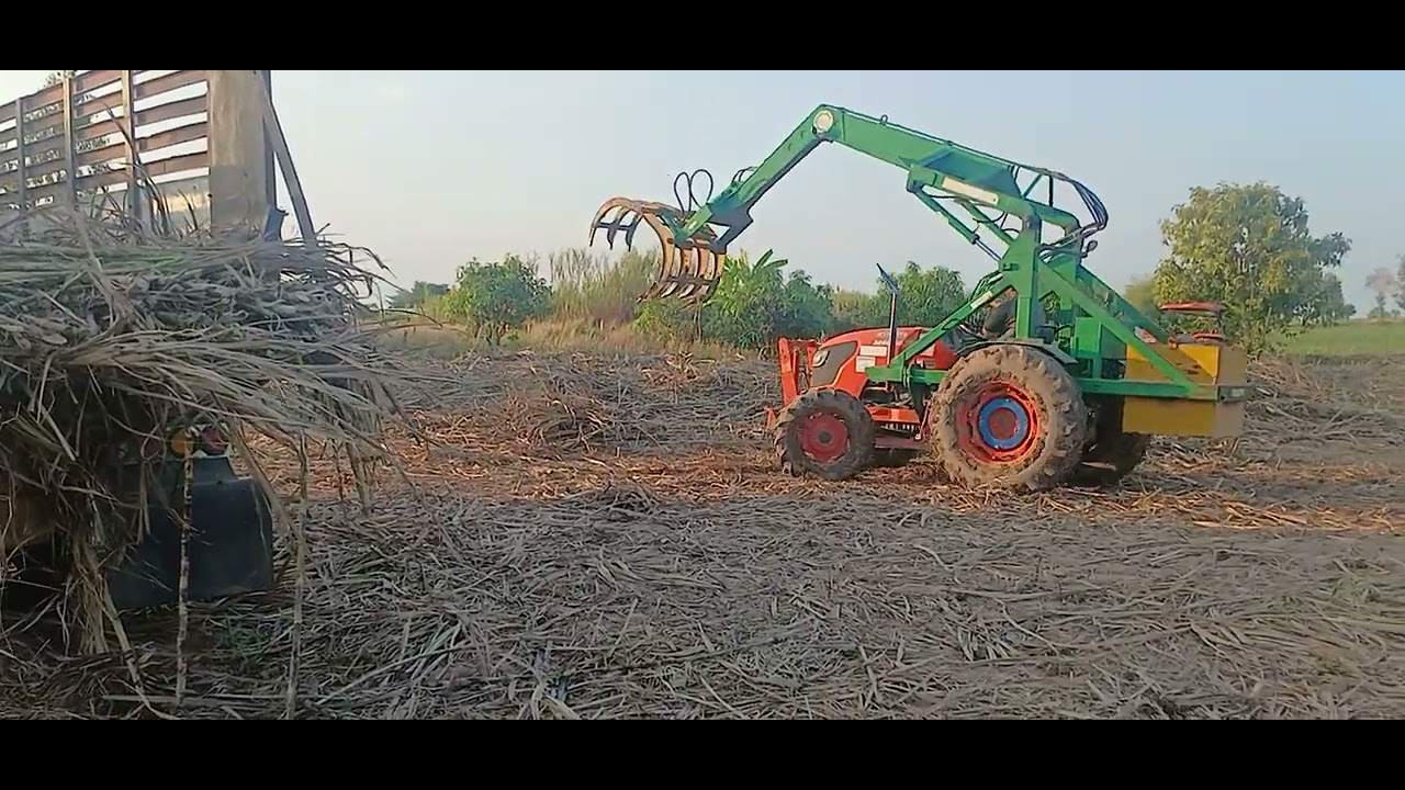 ลากอ้อยเสี่ยเม่า