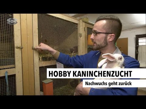 Hobby Kaninchenzucht | RON TV |