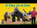 Bahawalpur zoo | بہاول پور کی سیر zoo | A day in a zoo