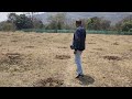 Moringa natural farming
