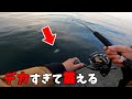【ショアジギング】世界最強ルアーに掛かった魚がヤバすぎた・・・。