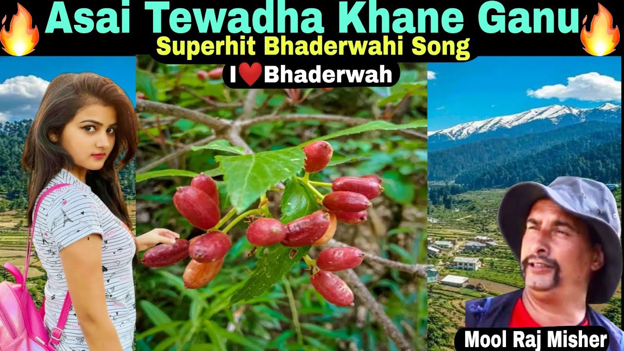Asai Tewadha Khane Ganu  Superhit Bhaderwahi Geet  Bhaderwahi Folk Song  Song  Mool Raj Misher