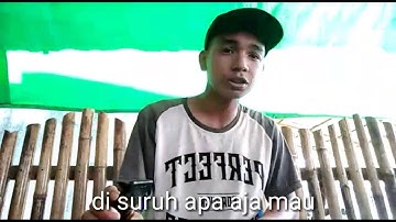 Cinta Boleh Goblok Jangan