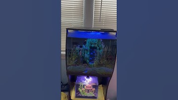 Fluval flex 15 gallon tank with mod