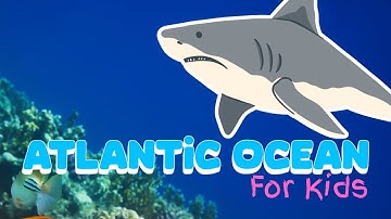 Atlantic Ocean 🌊 Kids Educational 🧠 Science for Kids 🐙 Ocean Animals for Kids