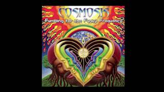 Cosmosis - Live Set