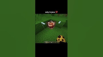 Only in java 💯🥀#minecraft #shorts #ytshorts