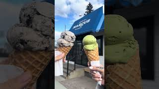 IMG 5237