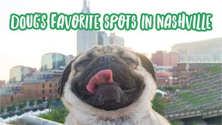 Doug’s Favorite Dog Friendly Spots In Nashville 🐶