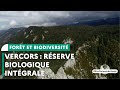 La rserve biologique intgrale du vercors en film