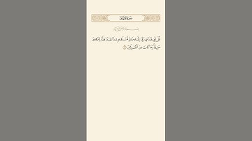 SURAH AL ANAAM AYAT 161|١٦١|سورة الأنعام آيت BY QARI MUHAMMAD IQBAL BIN AHMAD #quraan #quranic #qari