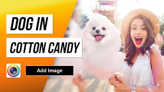 How to make funny edits for your pet photos | PhotoDirector App Tutorial screenshot 2