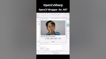 Een Windows-app voor gezichtsherkenning maken in C# met OpenCVSharp | Mijn ervaring
