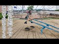 大人になってから地元で遊ぶとめっちゃ楽しいwww