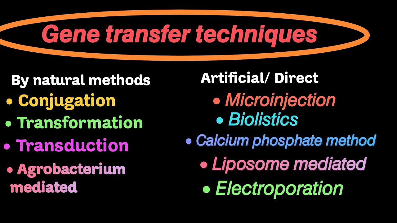 Gene transfer techniques | Electroporation | biolistics | bacterial recombinant system & more other