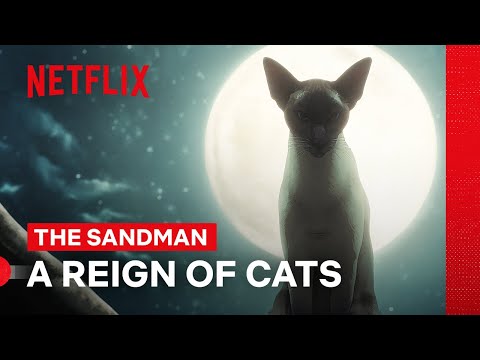 The Truth About The World Of Cats | The Sandman | Netflix Philippines