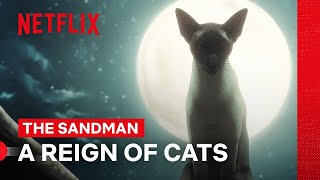 The Truth About the World of Cats | The Sandman | Netflix Philippines
