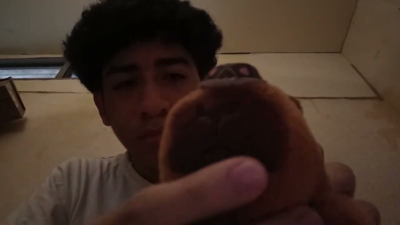 ASMR -  HACIENDO TRIGGERS RANDOMS